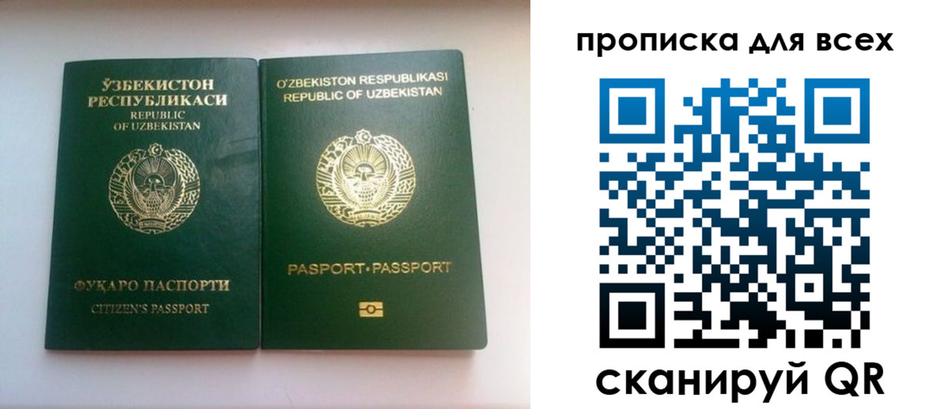 прописка для школы в Лесном